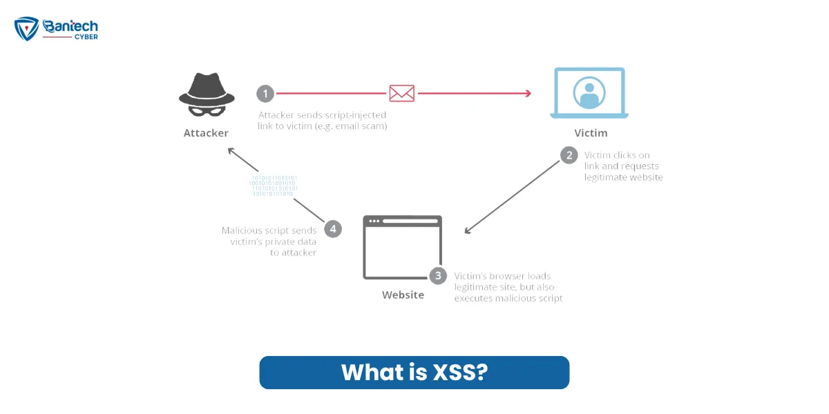 What is XSS